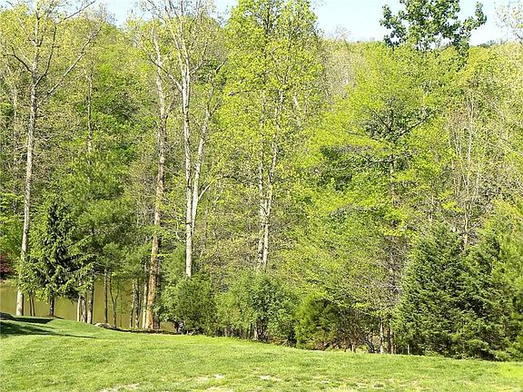 5th image of 65 Pine Hills Dr
