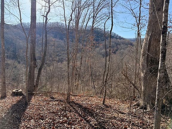 2nd image of 0 Posey Blanton Rd