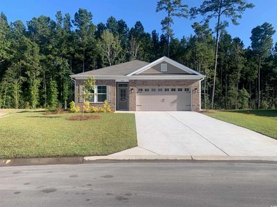 228 Palmetto Sand Loop Lot 34 Darcy II, Conway, SC, 29527