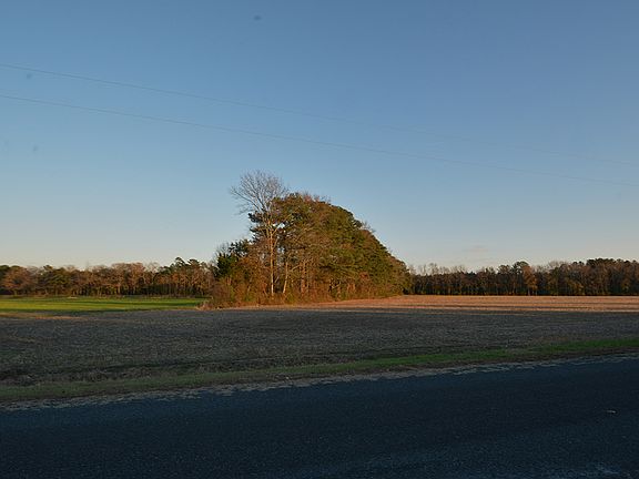 5th image of 30842 Pusey Road