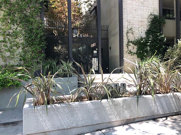 2nd image of 211 S Wilson Ave Unit 205