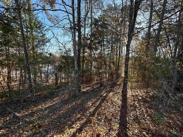 1 Deerwood Dr, Harleton, TX 75651