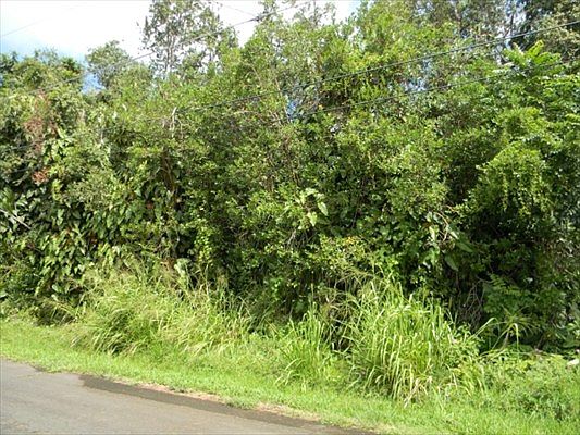 3rd image of Puhala Dr Lot 31