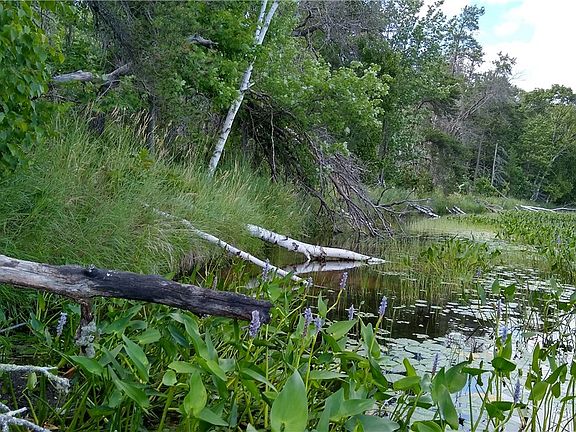 5th image of 0 (Lot 11) W Bass Lake Road