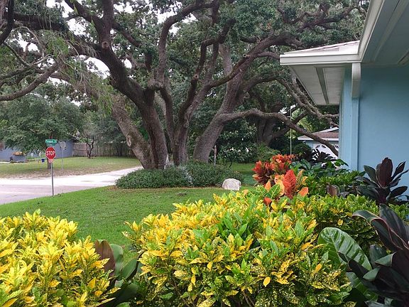 Mature Landscaping