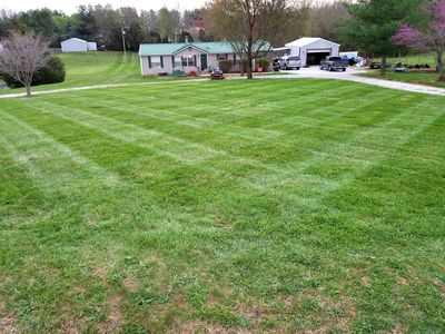 7265 Springfield Rd, Franklin, KY, 42134