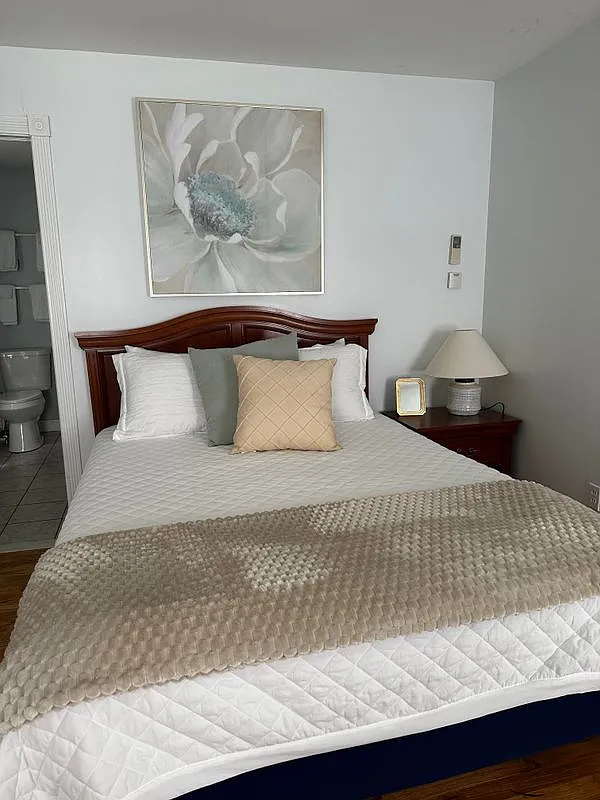 Studio, 1.0 bath, 287 sqft, $700 — Photo 3