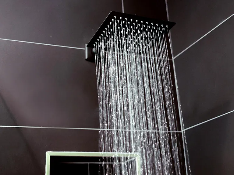 The modern style bathroom has a relaxing rain shower