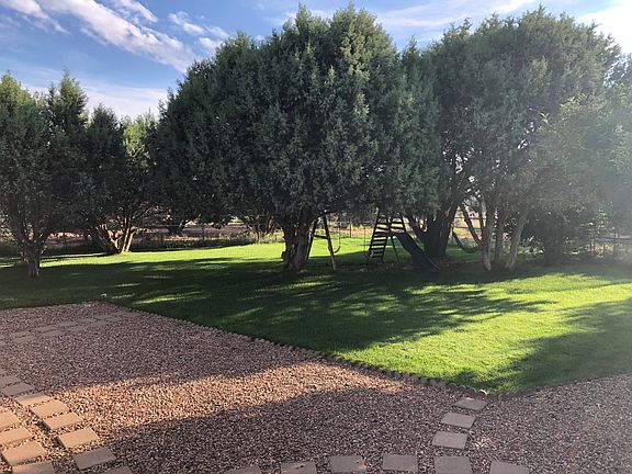 Grass back yard inside fence