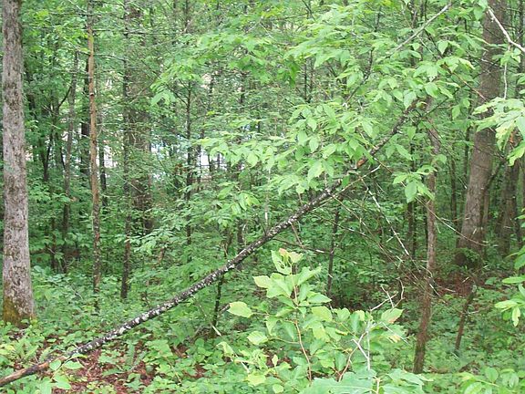 2nd image of 437 Chetola Trl Lot 105