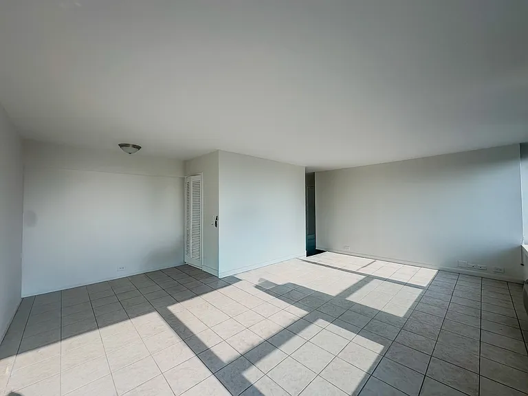 1255 N Sandburg Ter #2403 — Photo 11