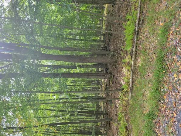 14B Port Au Prince Rd, Du Bois, PA 15801