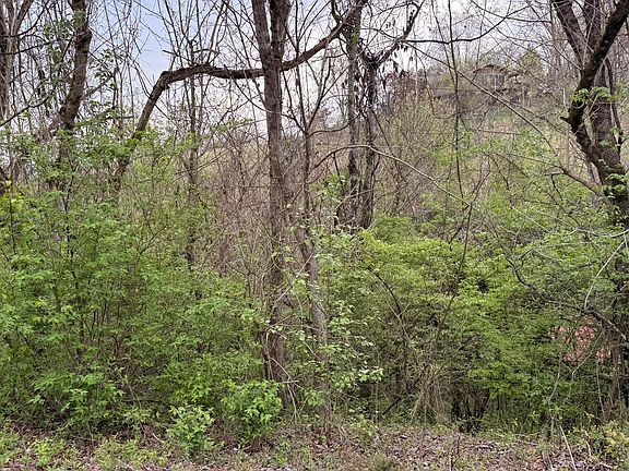 4th image of LOT 4 Hideaway Ridge Cir