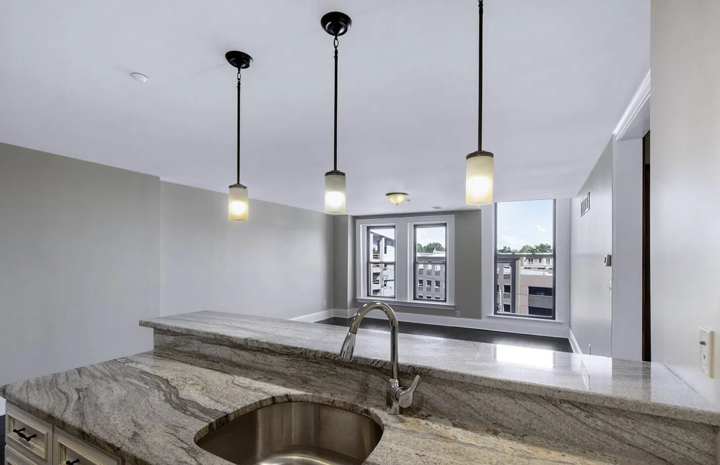 2 bed, 1346 sqft, $3,150 — Photo 4
