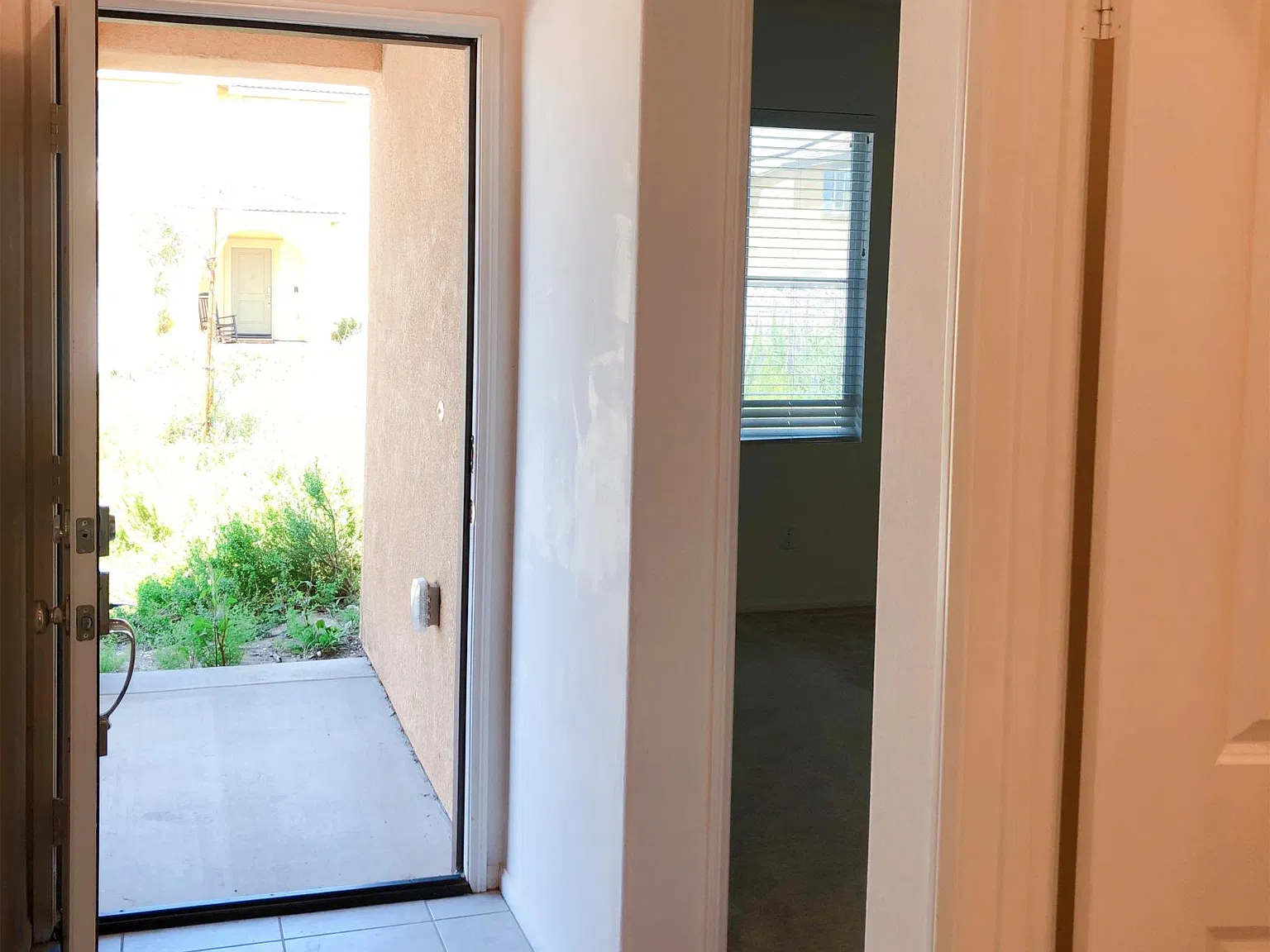 11098 Wheatfield Ct — Photo 3