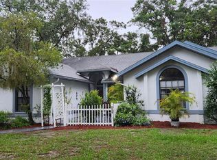 9924 Kenda Dr, Riverview, FL 33578
