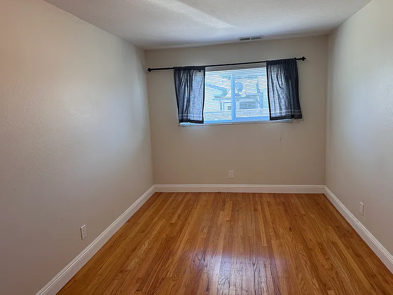 2913 Daisy Ct — Photo 11