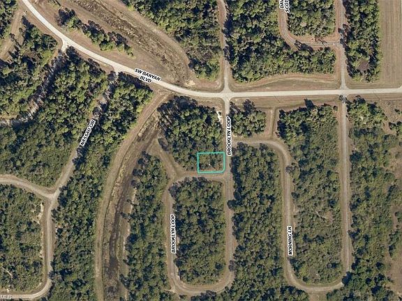 2nd image of 706 Brooklyn LOOP