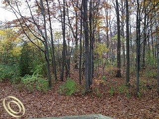 2nd image of 7879 Moonwood Pl #52