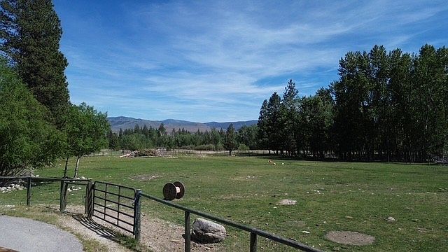 1st image of 990 Timber Point Ln