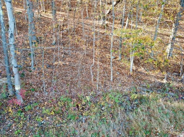 26 Dickerson Rd, Frankford Twp., NJ 07826