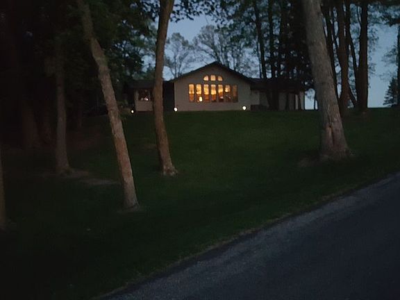 large beautiful trees