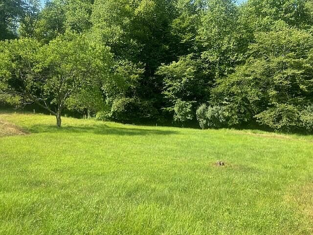 37th image of 10625 Brushy Rd