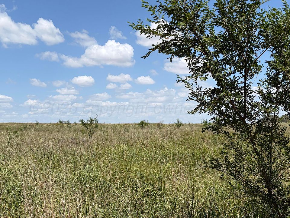1st image of State Highway 203