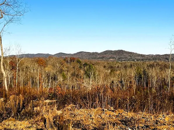 1667 Euchee Rd, Ten Mile, TN 37880