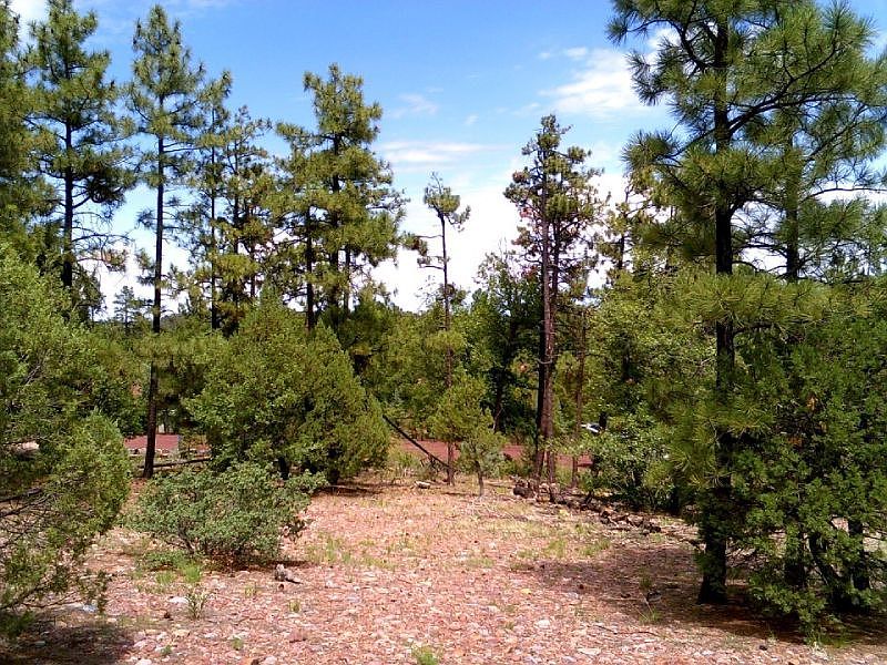 1st image of 2501 Chiricahua Dr
