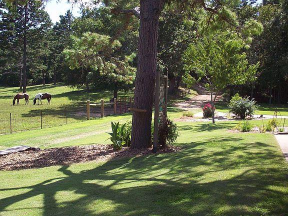 front pasture