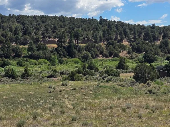 Lots 4493 & 4494 Ehrenclow Road, Fort Garland, CO 81133