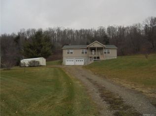 7882 Avenue Of Oaks, Arkport, NY 14807