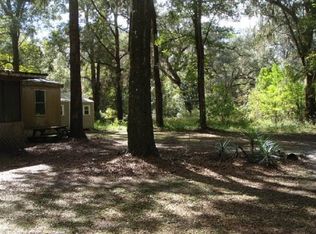 251 Ne 194th Avenue, Old Twn, FL 32680