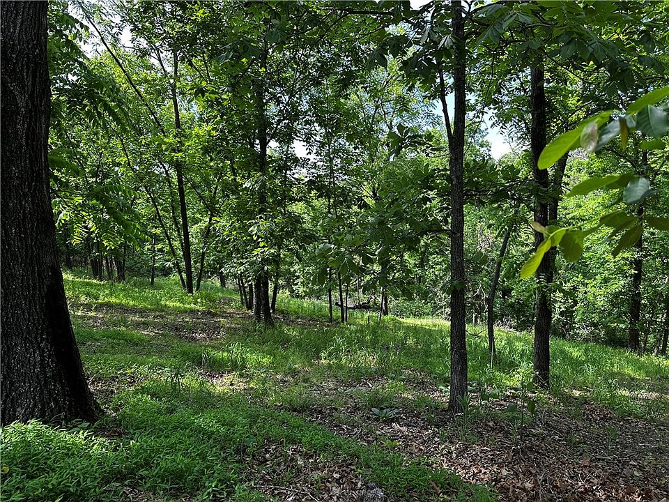 1st image of LOT 100 E Robin Rd