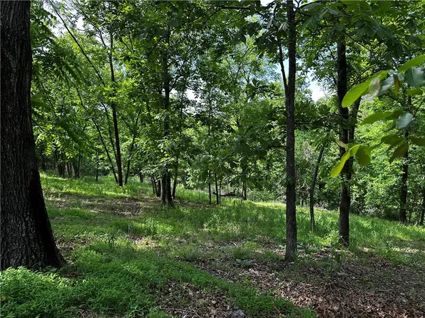 LOT 100 E Robin Rd, Rogers, AR 72756