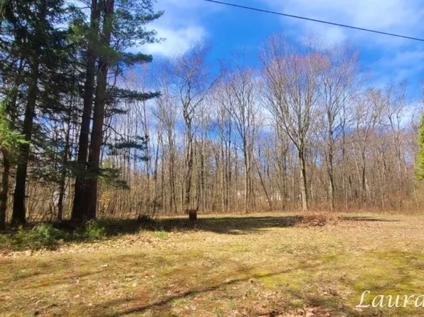2340 Mary St, Fennville, MI 49408