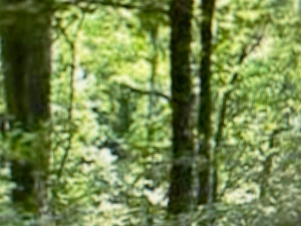1st image of 5075 Mountain View Rd