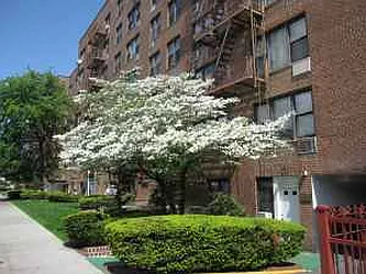 Rented by Atlantic Management Co Inc