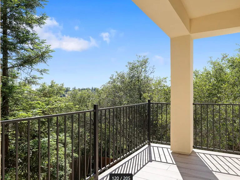 266 Swenson Ct #ADU — Photo 14