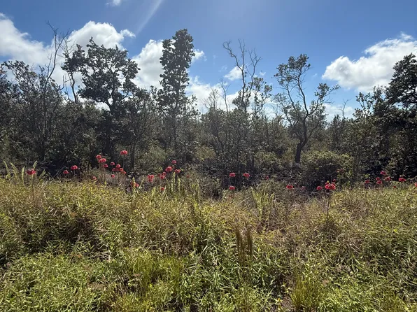 92-2168 Ocean View Pkwy Lot 2, Captain Cook, HI 96704