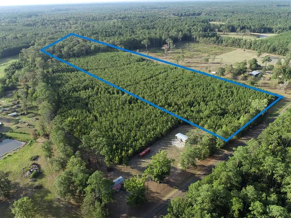 1275 Beckcom Rd, Hemphill, TX 75948