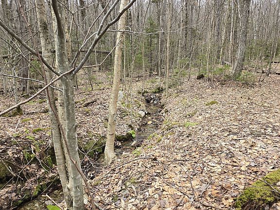 2nd image of 0 Magee Rd