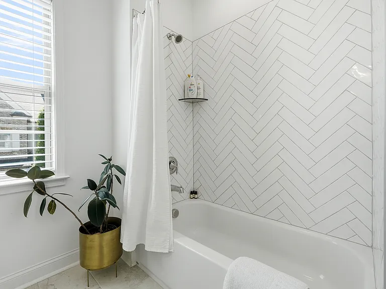 530 Springer Bnd — Photo 19