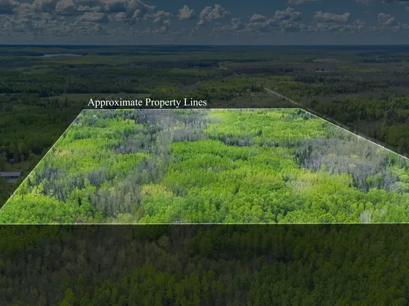 Northwind Rd, Marcell, MN 56657