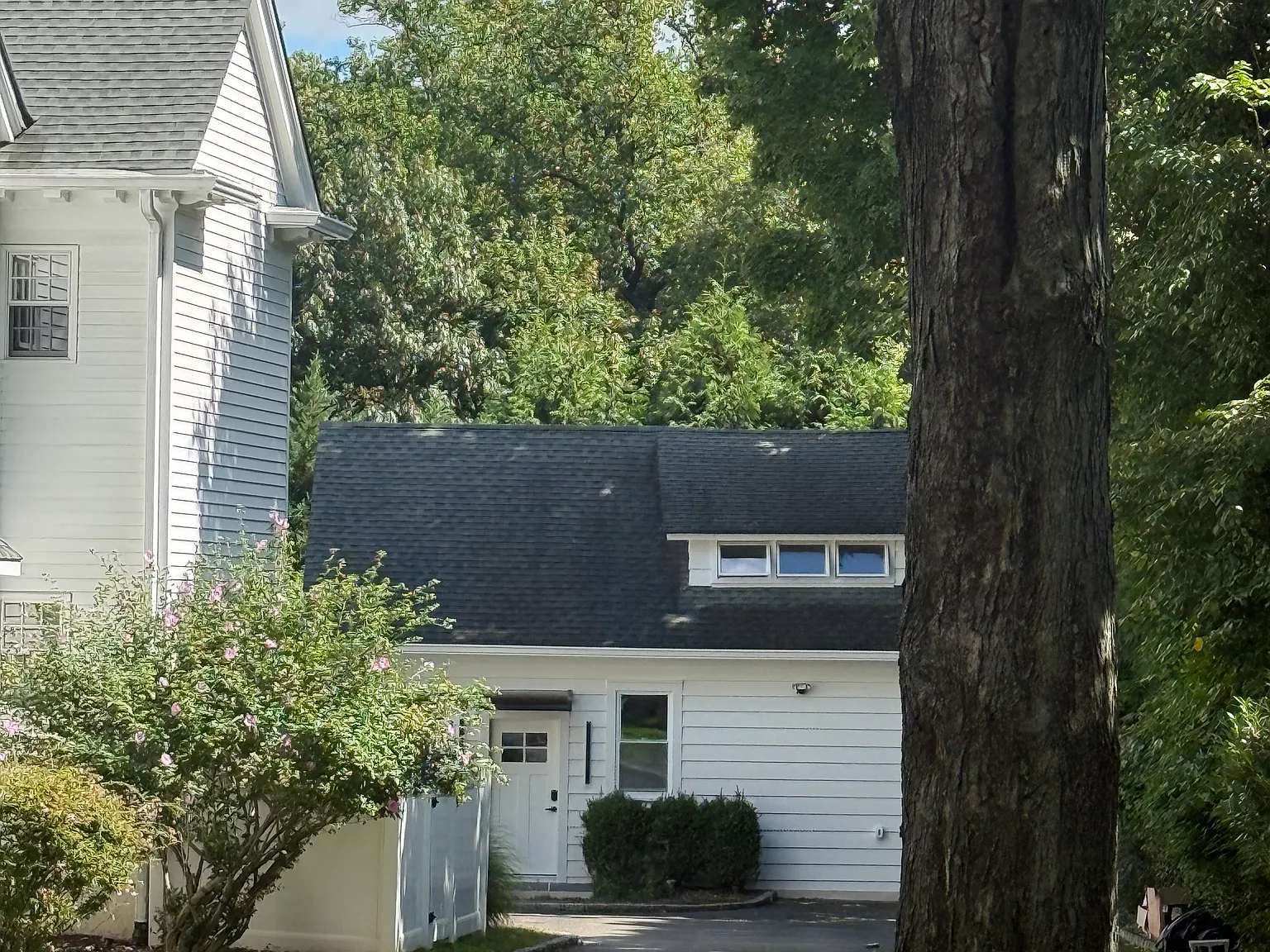 1 bed, 1200 sqft, $4,000 — Photo 4