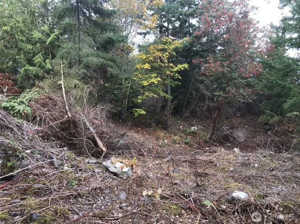 11939 New Morning Drive, Anacortes, WA 98221