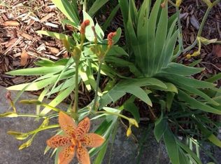 10819 Hillcrest Ave, Port Richey, FL 34668