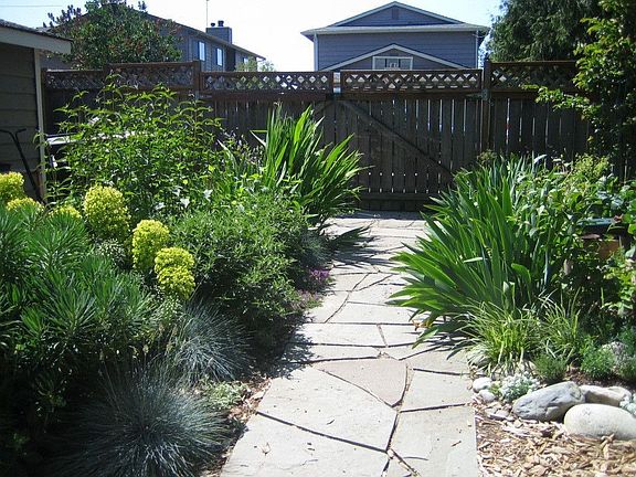 flagstone walkway to back gate 