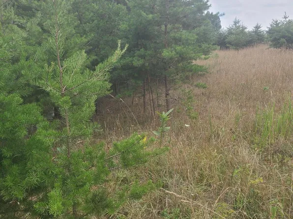 Husk Trl, Berkeley Springs, WV 25411